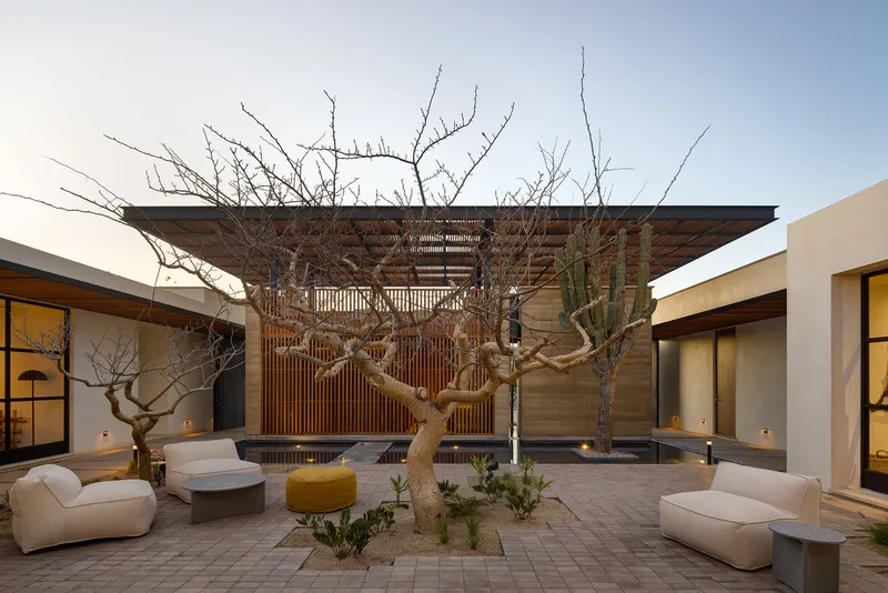 Central courtyard: gnarled native trees under a timber pergola, outdoor sofas around a paved patio, water feature at the far end, warm evening light