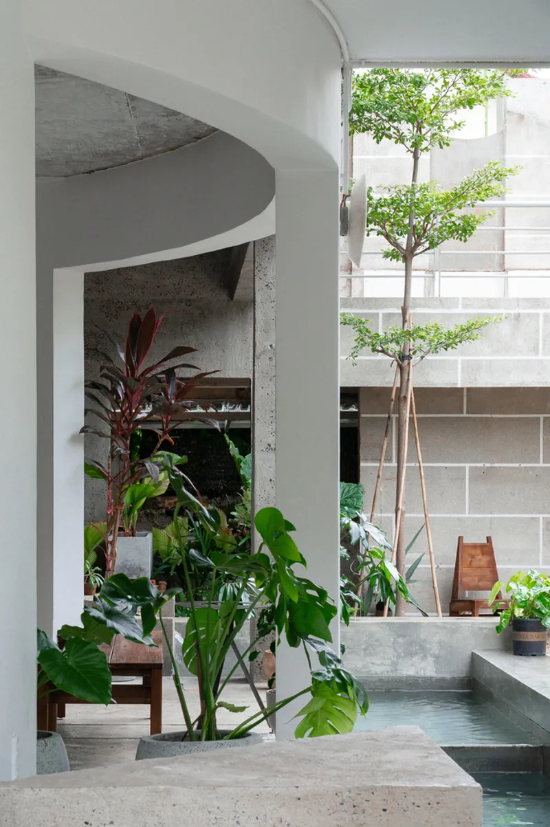 Arched opening framing a concrete pool edge with potted plants and a small tree in midday light