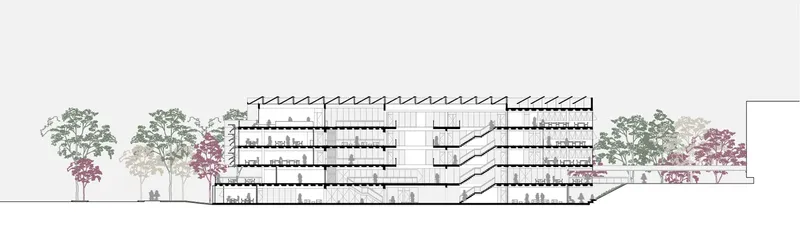 Section drawing showing floor plates and diagonal circulation connecting the building volumes