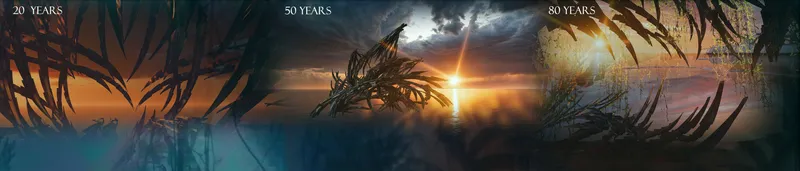 Timeline panorama showing the structure evolving through different lighting conditions from dawn to sunset