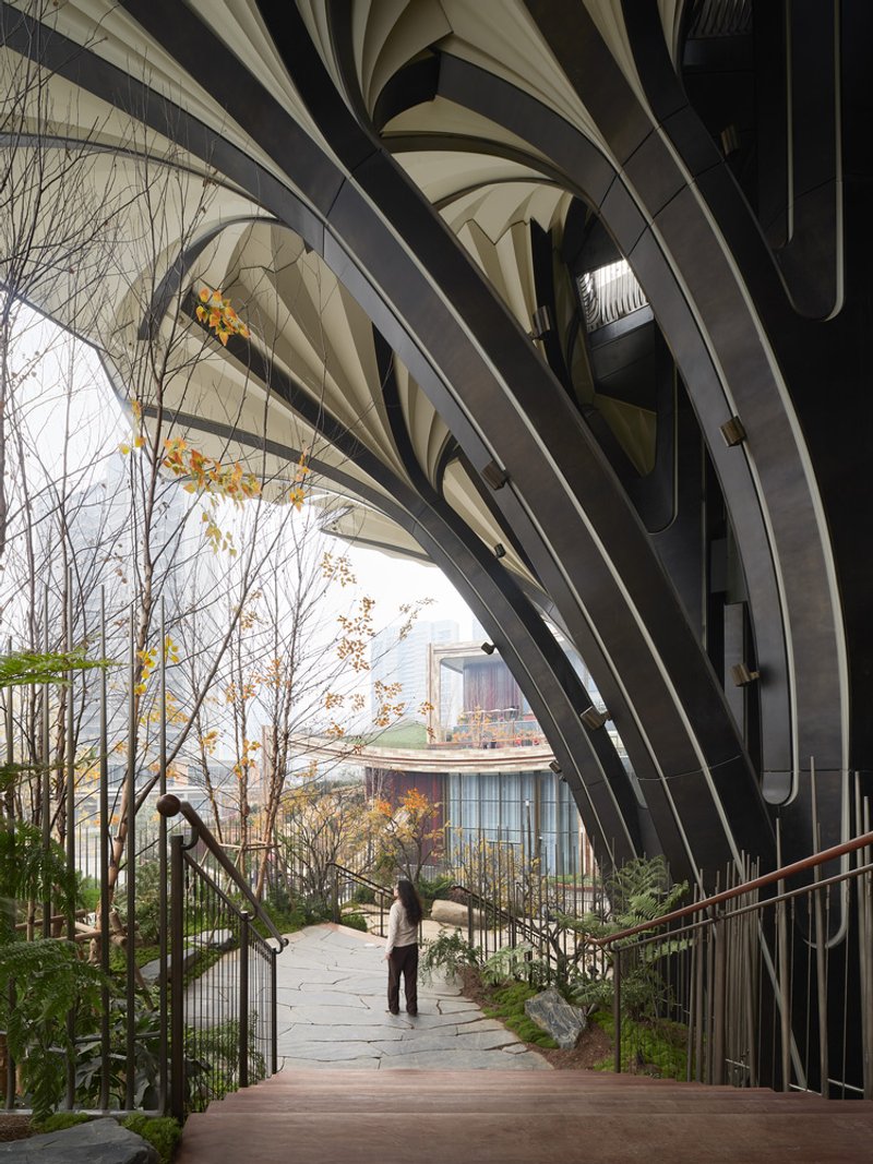 Planted walkway beneath radiating arched columns with a person walking among bare trees in autumn