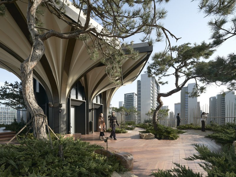 Rooftop terrace with curved concrete canopy, mature pine trees and paved walkway with pedestrians