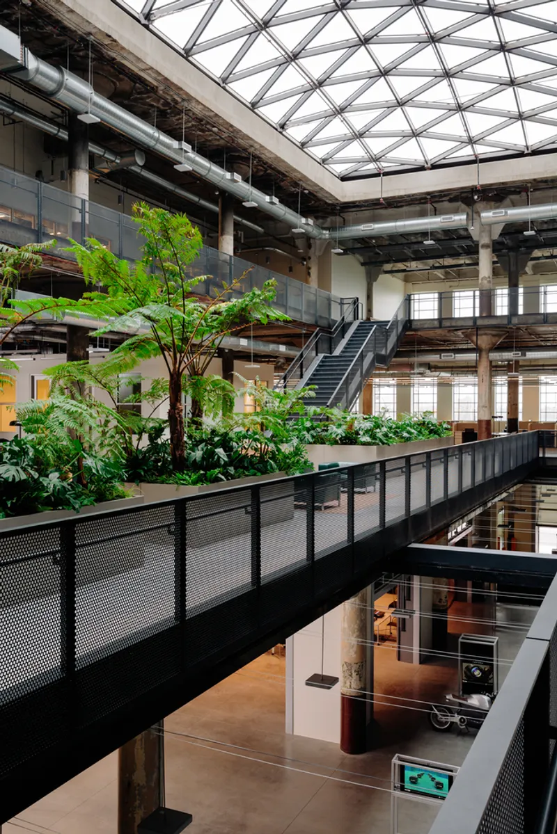 Elevated planted walkway with tree ferns beneath a triangulated glass skylight in the multi-level atrium