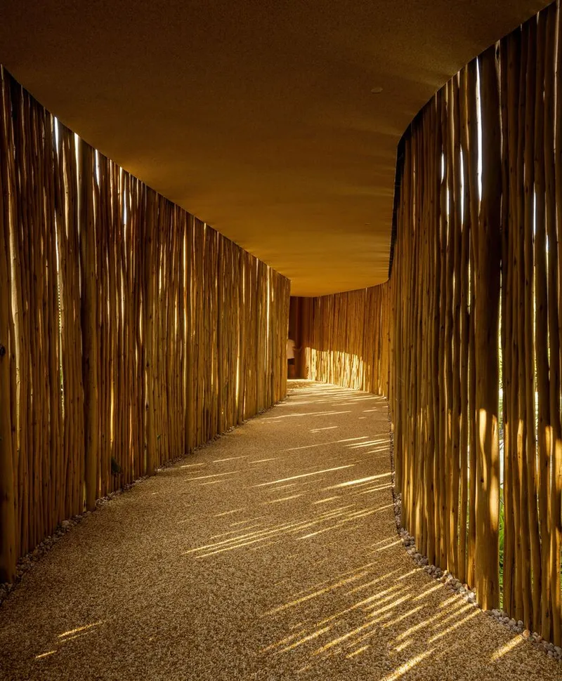 Curved corridor with vertical bamboo slat walls and timber ceiling creating filtered sunlight patterns at golden hour