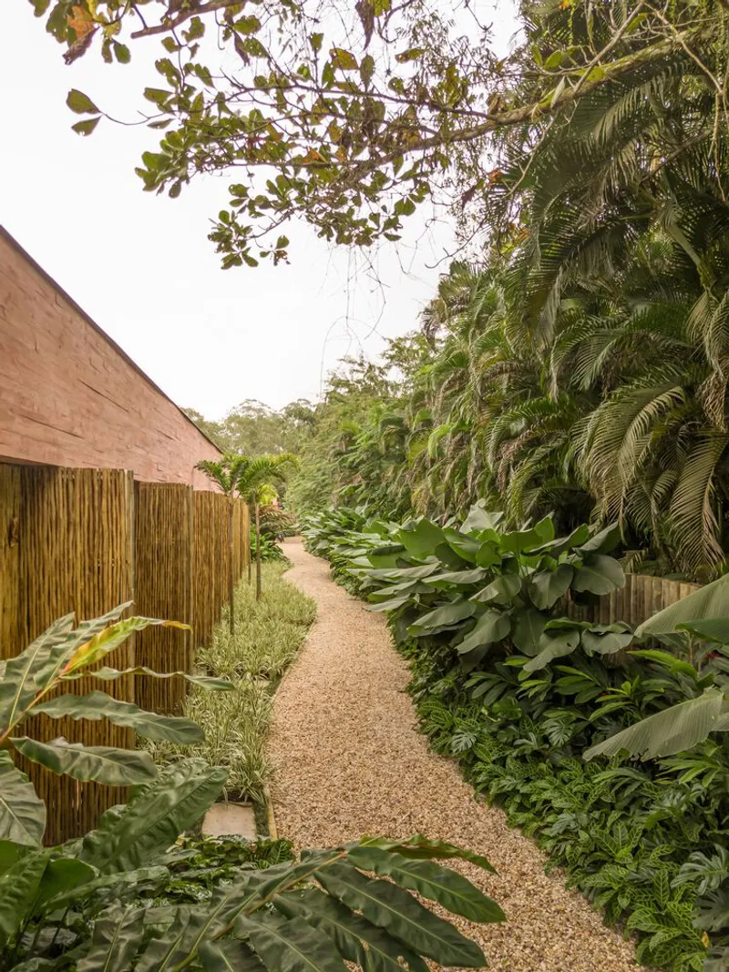 Gravel pathway lined with bamboo fencing and dense tropical plantings leading past timber slat wall