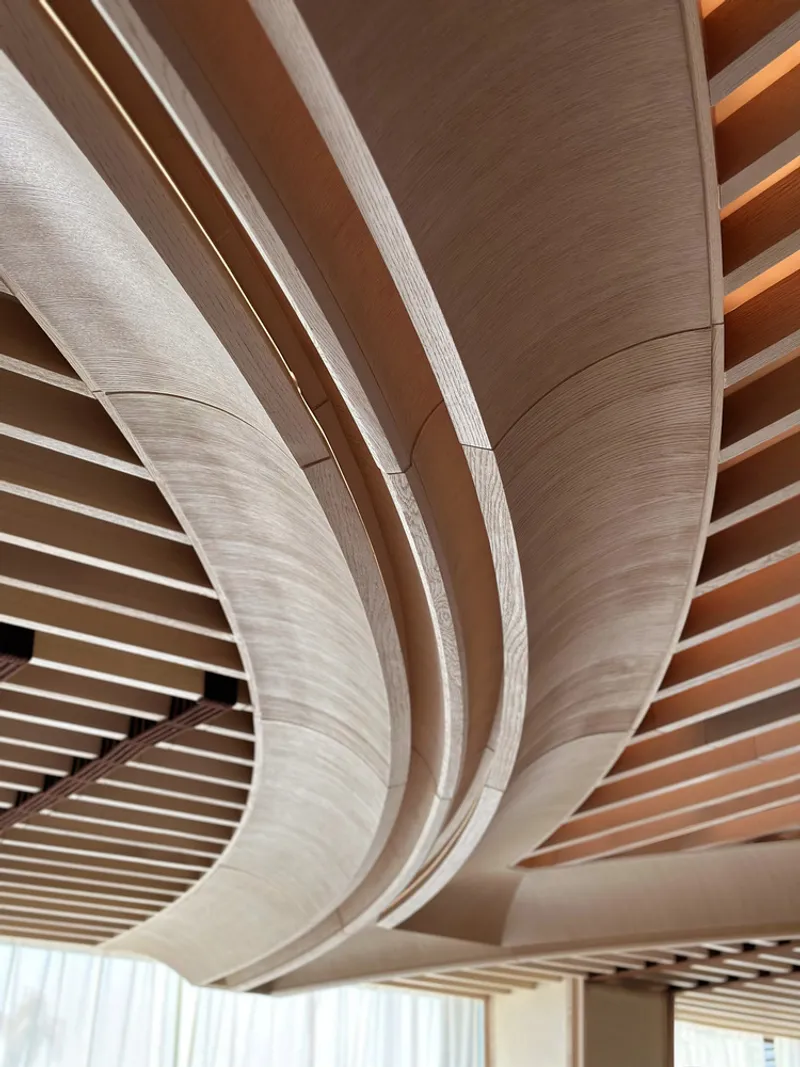 Ceiling detail: sweeping timber-clad curves flowing into each other, warm wood grain