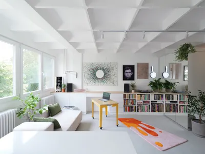 Parasite Habitat: A Compact Apartment in Novi Sad