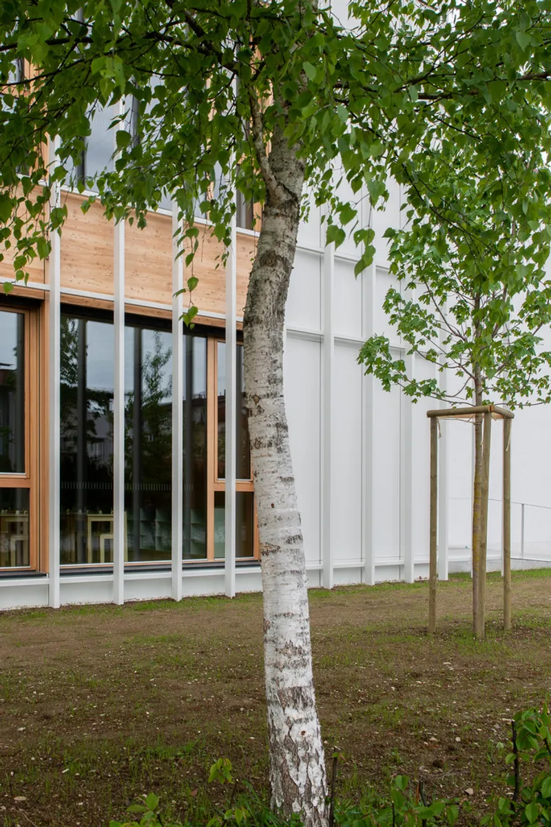 Facade detail: birch trunk against the white vertical fins and timber-clad upper storey, leaf canopy above
