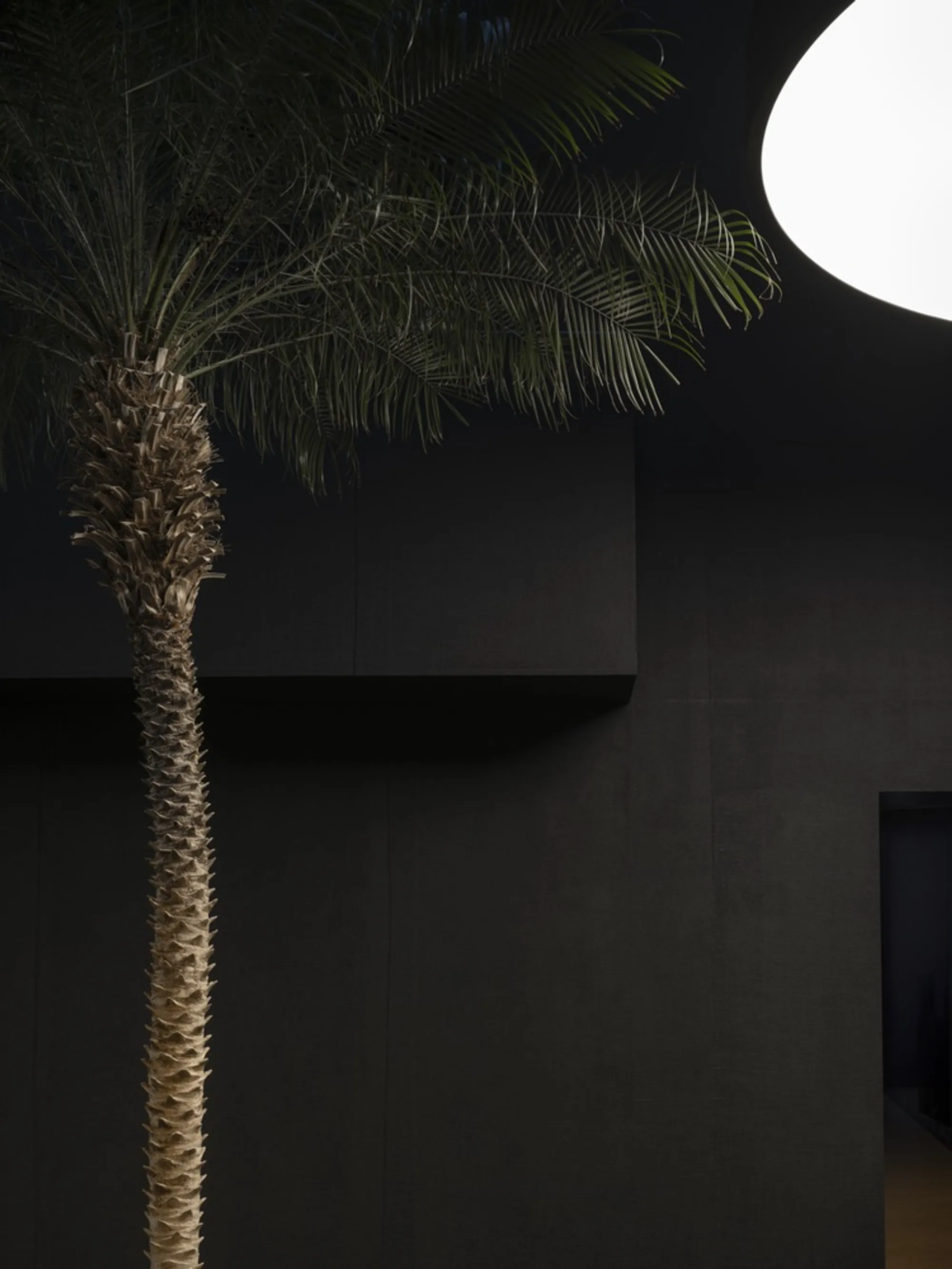 Leopold Banchini Architects Conjures a Film Noir Studio in Shadow and Light