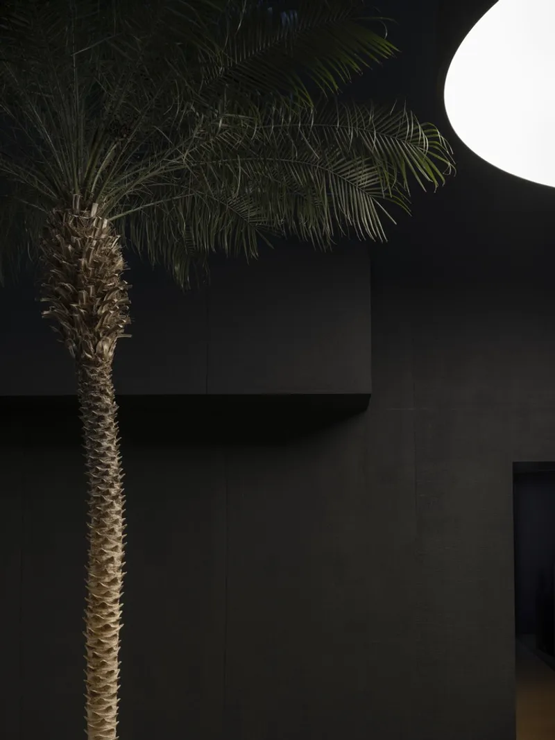 Palm tree silhouetted against the textured panel facade at night