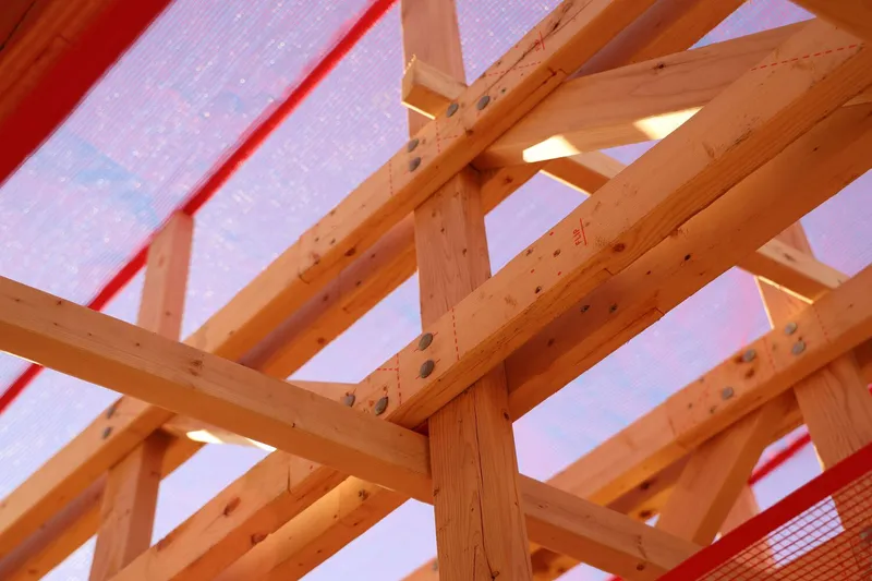 Looking up: timber rafters crossing at the roof, red mesh above giving the sky a pink cast, cross-braced joinery
