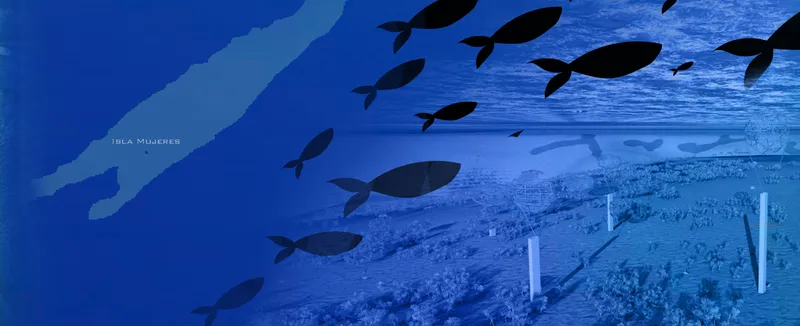 Submerged platform with vertical white posts and fish silhouettes swimming overhead in clear blue water