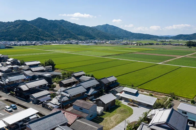 Aerial context: the village and rice field grid from above, mountains behind, Lake Biwa shore at the edge