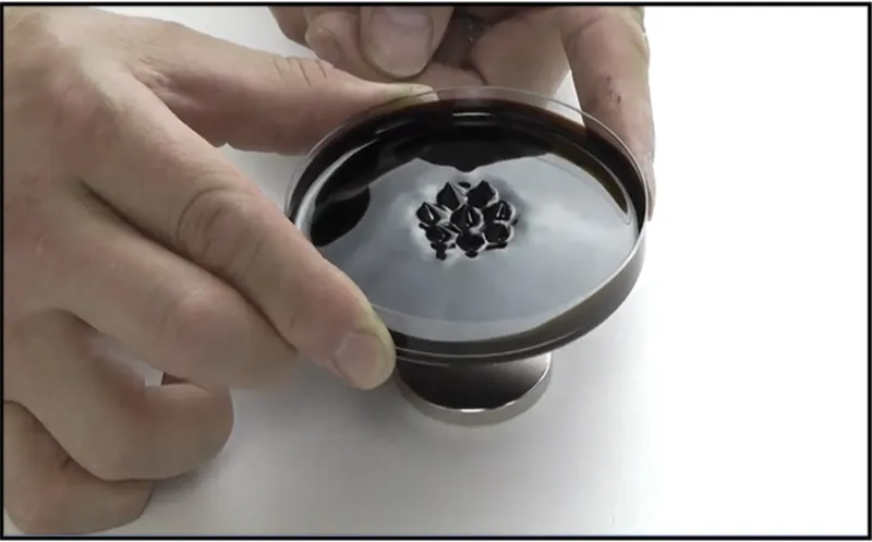 Hands holding a dish of ferrofluid forming a magnetic cluster: the physical experiment driving the project's design logic