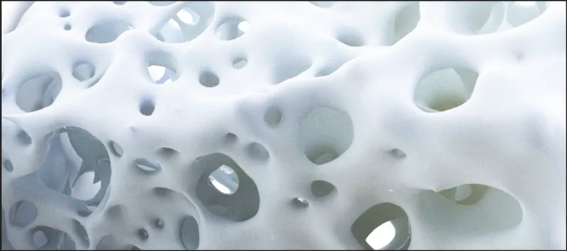 White organic porous 3D structure with bone-like topology: the spatial model for the building's reconfigurable interior volumes