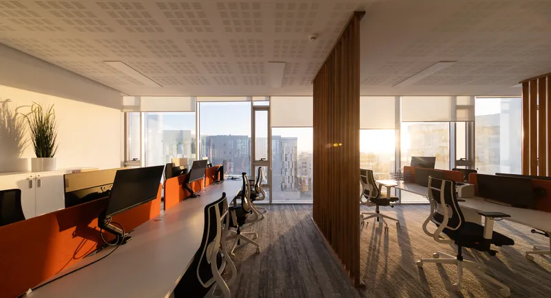 Open-plan office with timber slat dividers separating workstations in warm afternoon light and long shadows on carpet