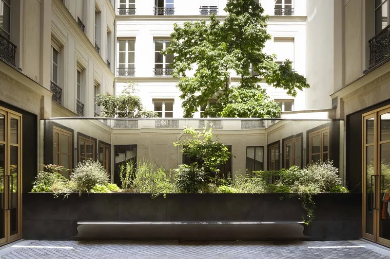 Interior courtyard with raised black planter bed containing mature tree and white flowering shrubs
