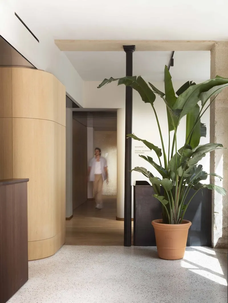 Entrance hall with curved timber wall, potted palm plant, and figure in motion passing through
