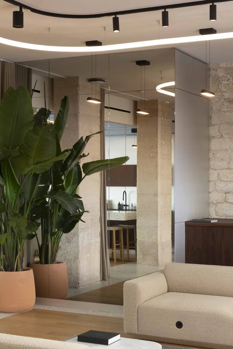 Glass partition between living space and kitchen with large potted plant in foreground