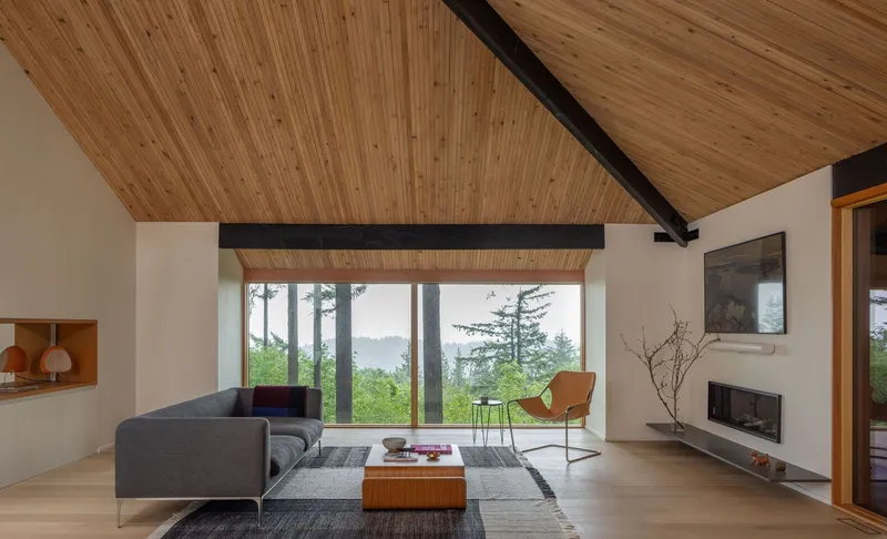 Living room with vaulted timber ceiling and exposed black beams overlooking the forest