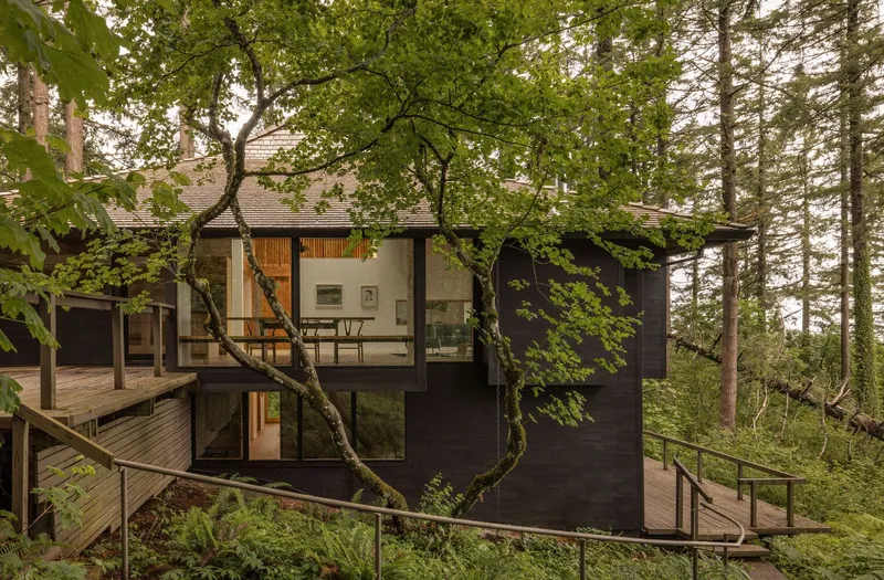 Exterior view of the black facade with full-height glazing nestled among deciduous trees at dusk