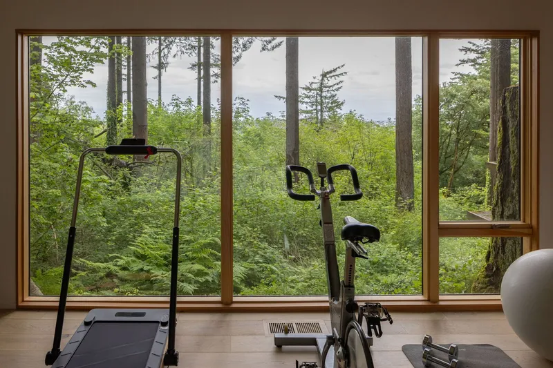 Exercise room with floor-to-ceiling windows framing tall conifers and dense green undergrowth beyond