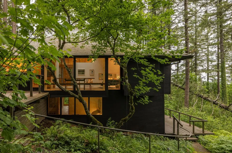 Elevated black-clad volume with timber deck and metal railing winding through deciduous forest at dusk