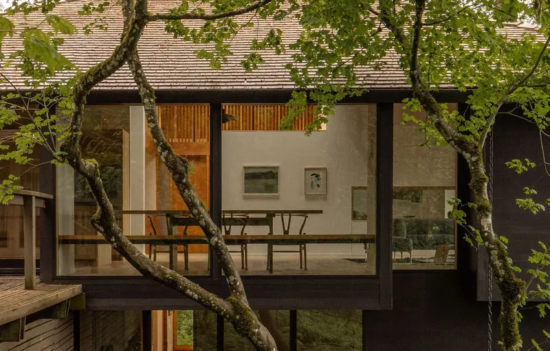 Dining area visible through full-height glazing with moss-laden tree limbs in the foreground