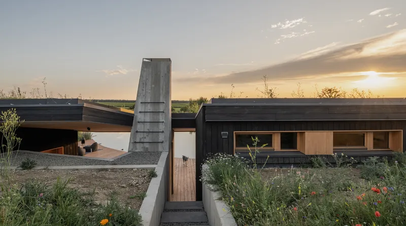 Entry at sunset: charred timber cladding, concrete chimney tower, green roof with wildflowers, meadow planting around the house