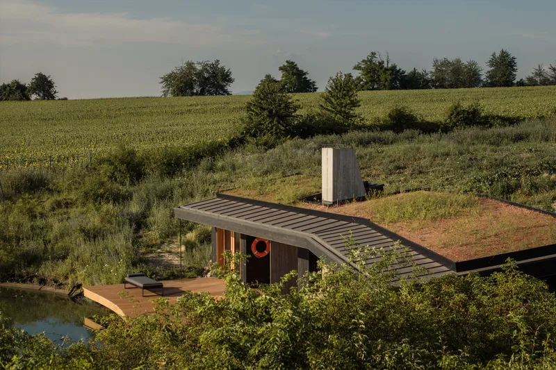 From the hillside: green roof merging with meadow, natural swimming pond with life ring, timber deck, Hungarian farmland beyond