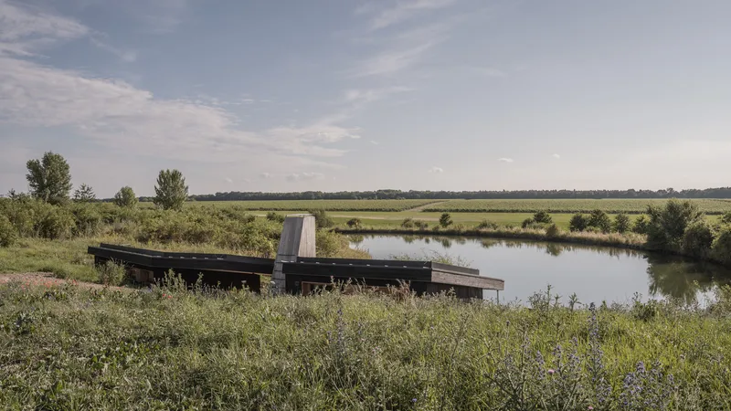 Wide landscape: green roof and dark house beside the natural swimming pond, flat farmland stretching to the horizon