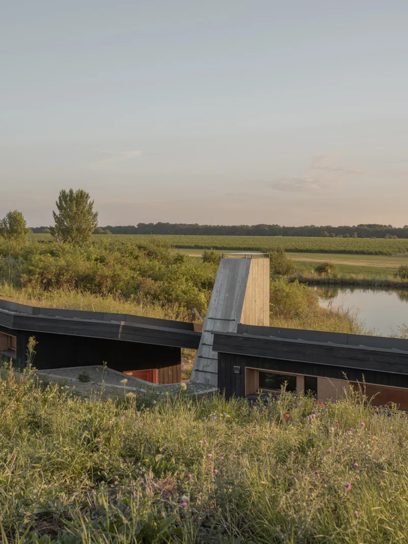 From the meadow: dark charred house with green roof, concrete retaining wall at the base, pond visible behind, flat landscape