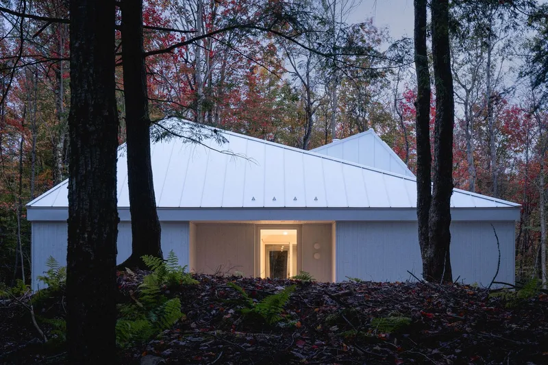 Rear facade through trees: twin roof peaks, recessed entrance, ferns and fallen leaves, autumn colour