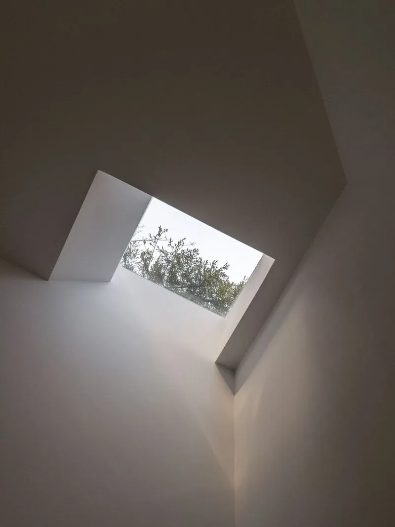 Skylight from below: square opening framing green tree canopy, white plastered shaft