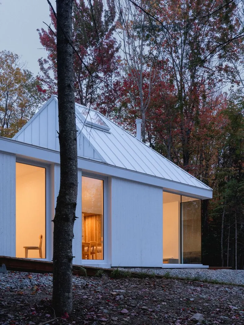 Night view: white cube glowing from within, tall windows, bare tree trunks, gravel clearing