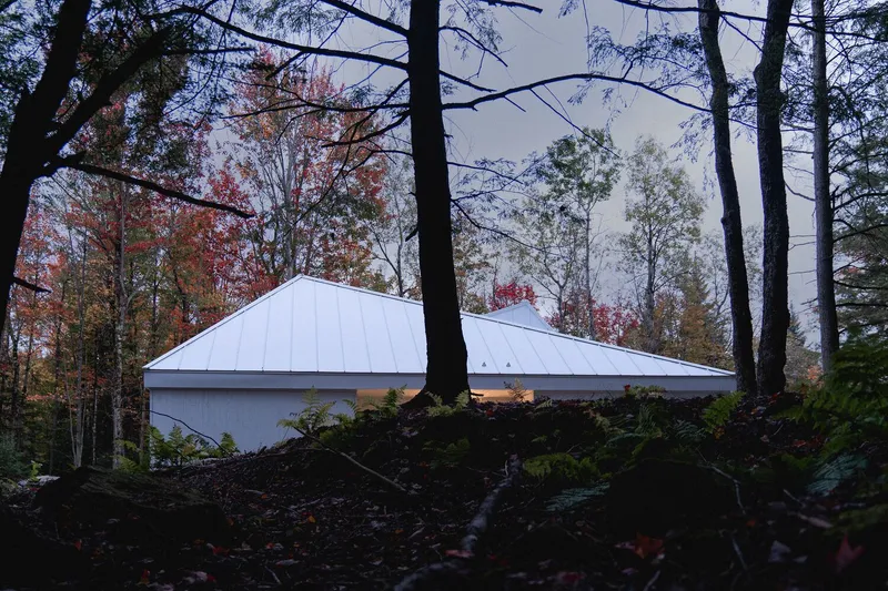 Dusk from forest floor: white metal roof above ferns and moss, autumn colour, overcast sky
