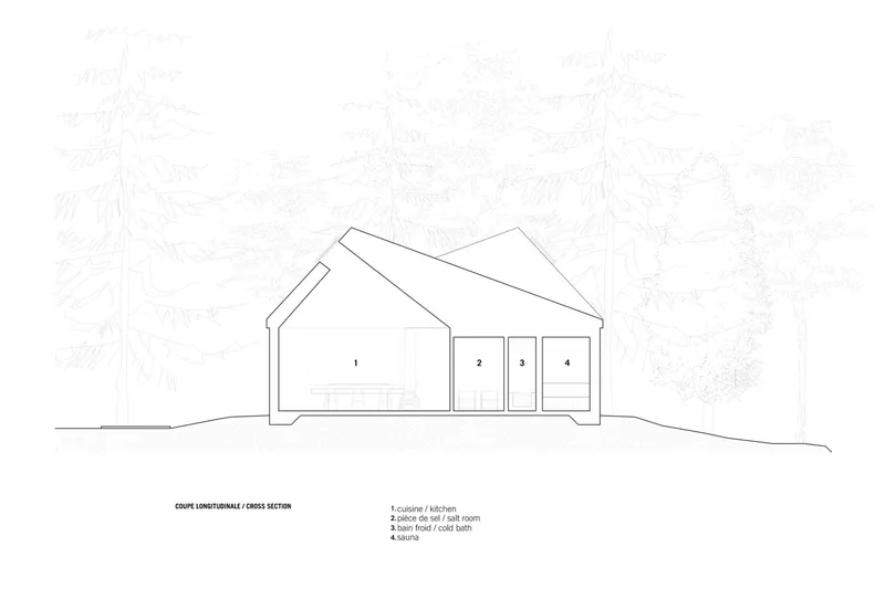 Cross section: twin inverted roof peaks with skylights, interior rooms numbered, conifer trees behind