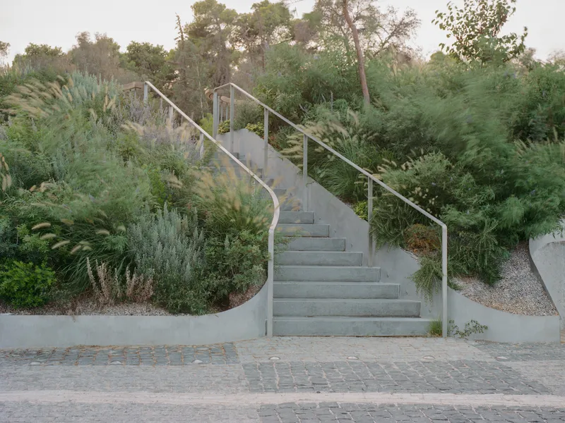 Curving concrete stair with steel handrails ascending through planted beds of grasses and ferns