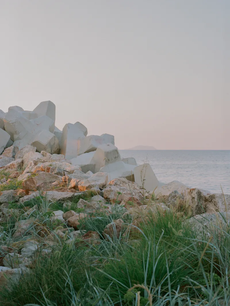 White concrete tetrapods stacked along the shoreline with low grasses at twilight
