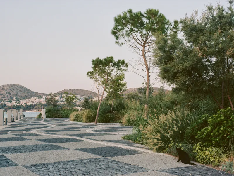 Patterned stone paving plaza with pine trees and coastal hillside view in soft evening light