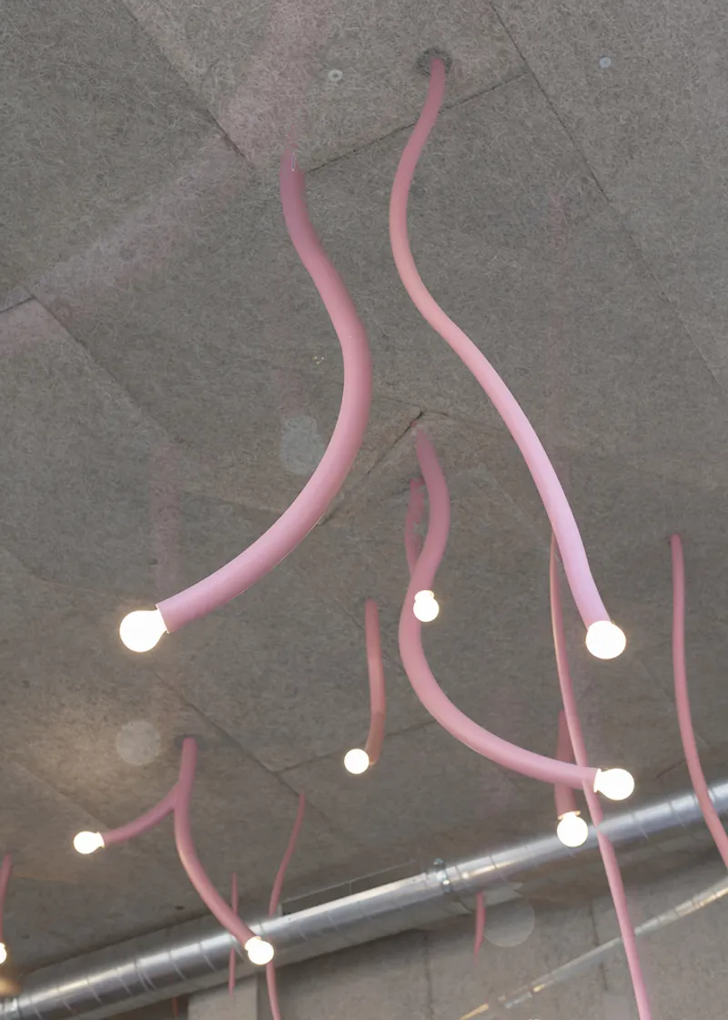 Detail: pink copper tube pendant lights curving organically from the concrete ceiling, bulbs at the tips