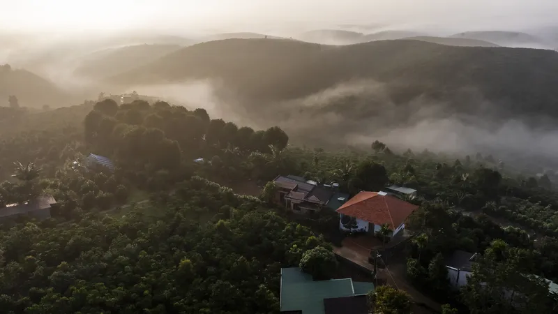 Aerial view of scattered houses with terracotta and metal roofs nestled in dense foliage under morning mist