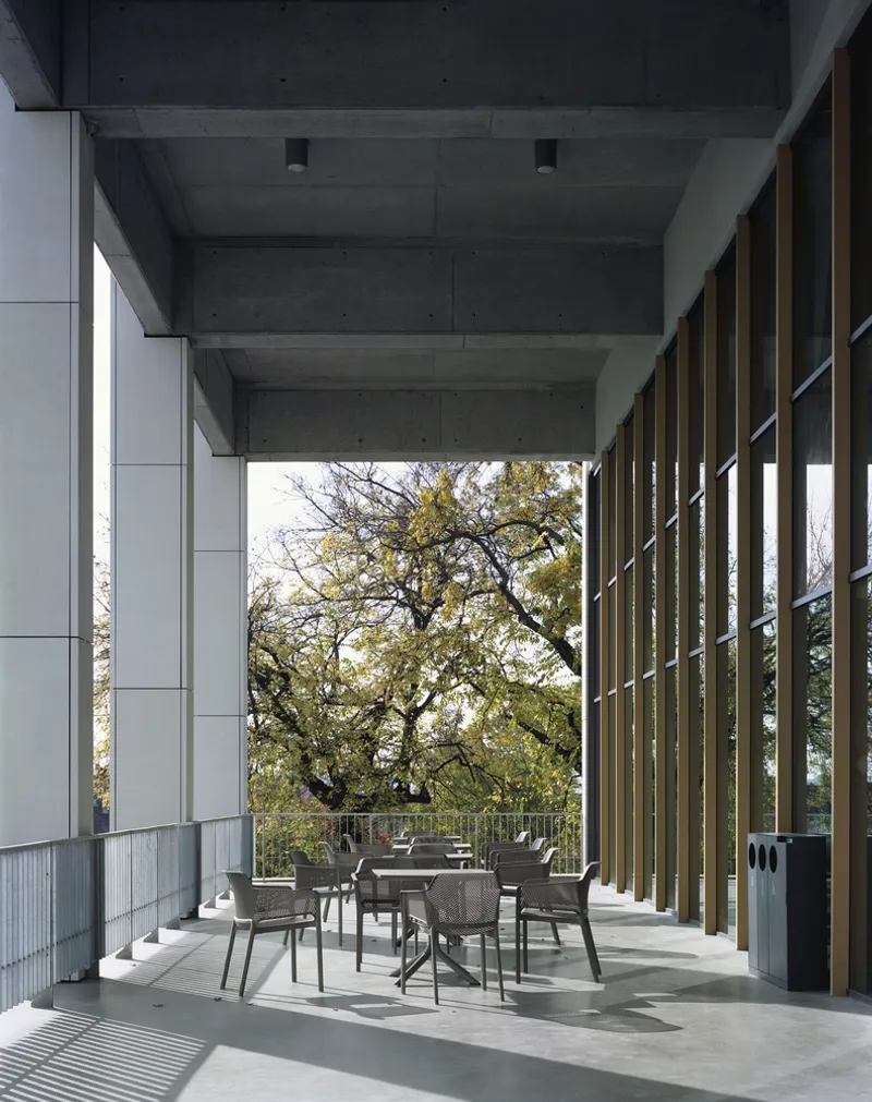 Covered terrace with concrete ceiling, timber screen wall and dining furniture overlooking a tree canopy