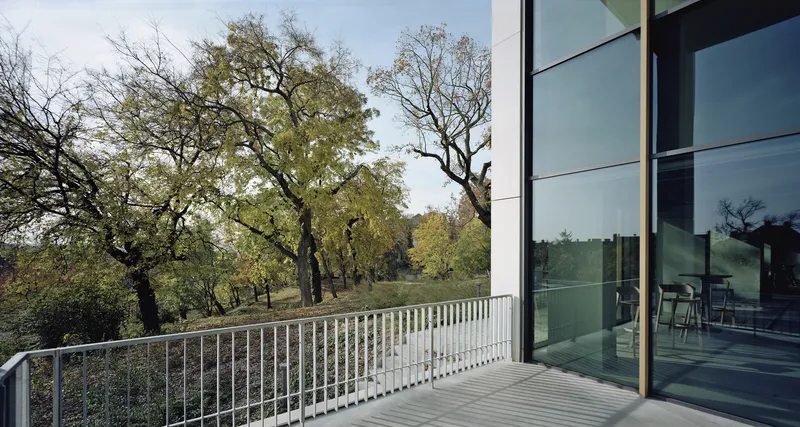 Glass-railed terrace overlooking deciduous trees in autumn with reflective facade panels