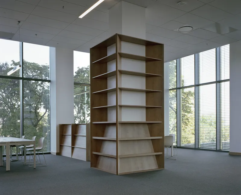 Freestanding timber shelving unit with curved corner edges framed by floor-to-ceiling windows overlooking trees