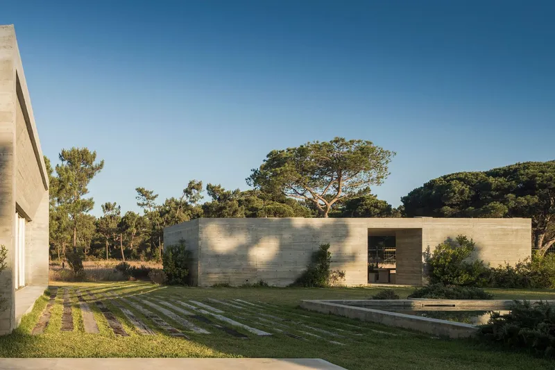 Board-formed concrete volumes arranged around a lawn with parallel concrete terrace steps and pine trees
