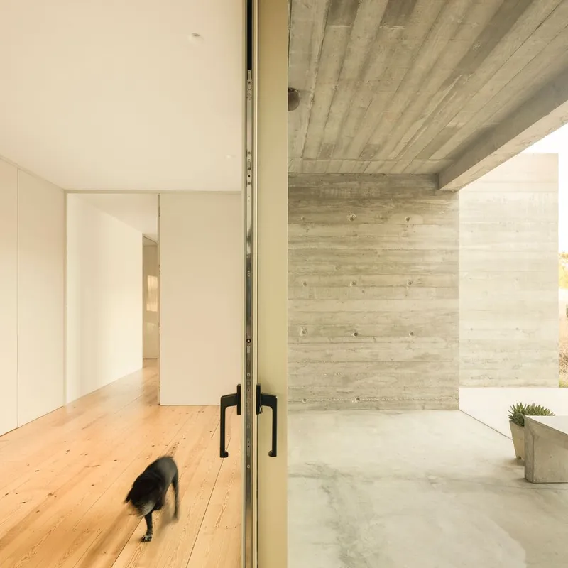 Threshold between timber-floored interior and board-formed concrete courtyard with a dog crossing through open glass door
