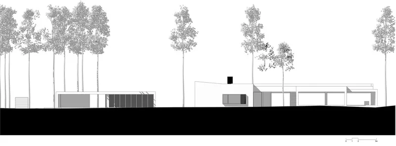 Section drawing depicting low rectangular volumes beneath mature trees on a dark ground plane