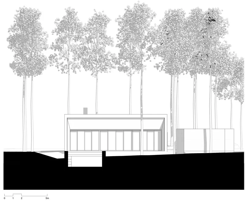 Section drawing showing a colonnade beneath tall trees with volumes nested in the canopy