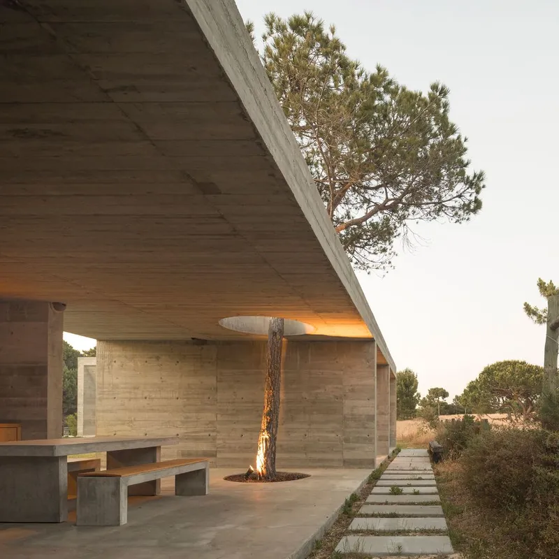 Covered terrace with pine tree emerging through circular opening in the board-formed concrete canopy at dusk